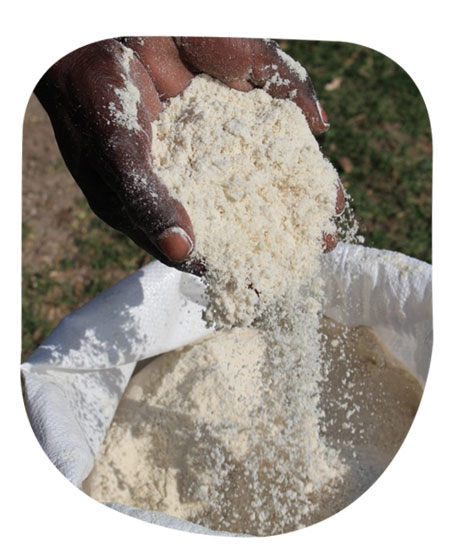 Maize flour - Farine de maïs